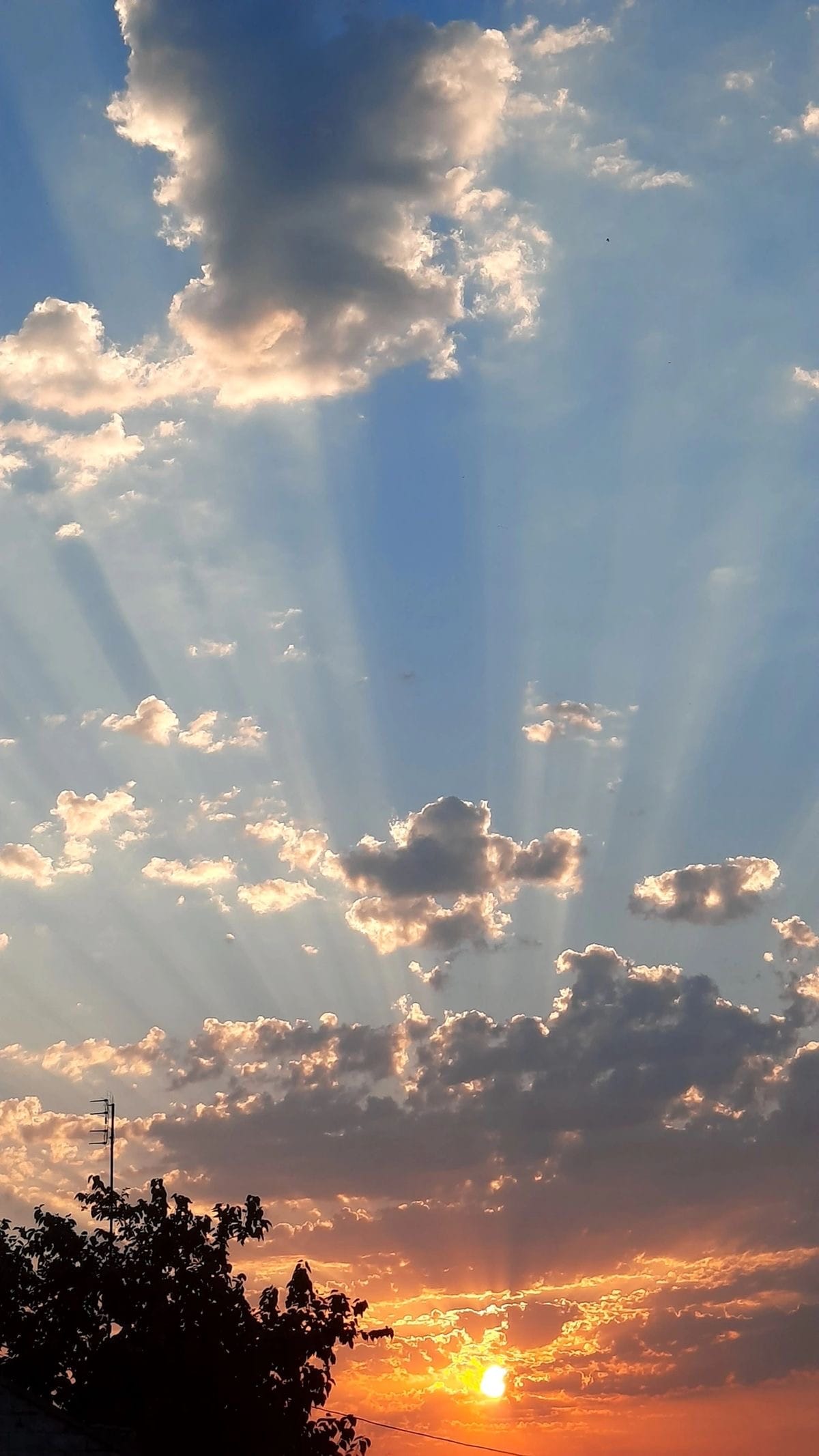 The Way Light Forgives