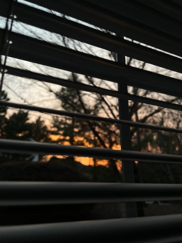 “It Is What It Is”