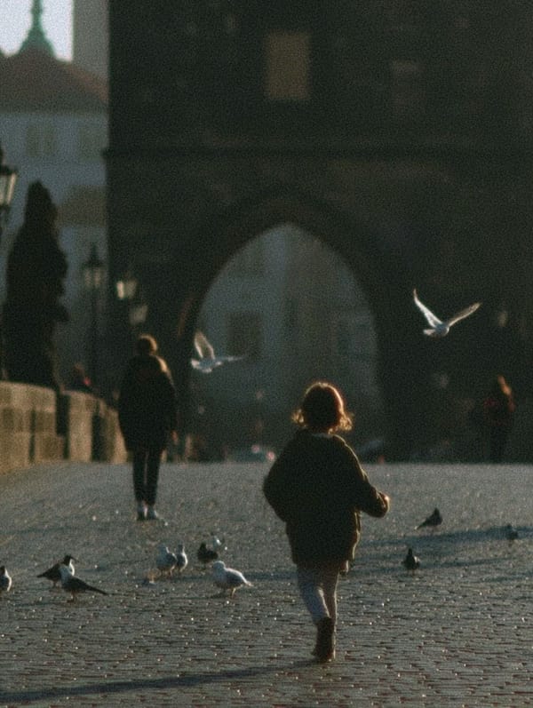 When Wings Choose Faith